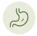 Ícono de estómago